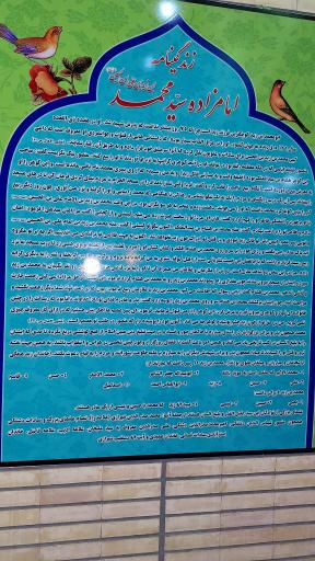 عکس امامزاده سید محمد ابن زید ابن علی ابن الحسین