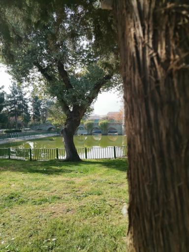 عکس بوستان فداییان اسلام