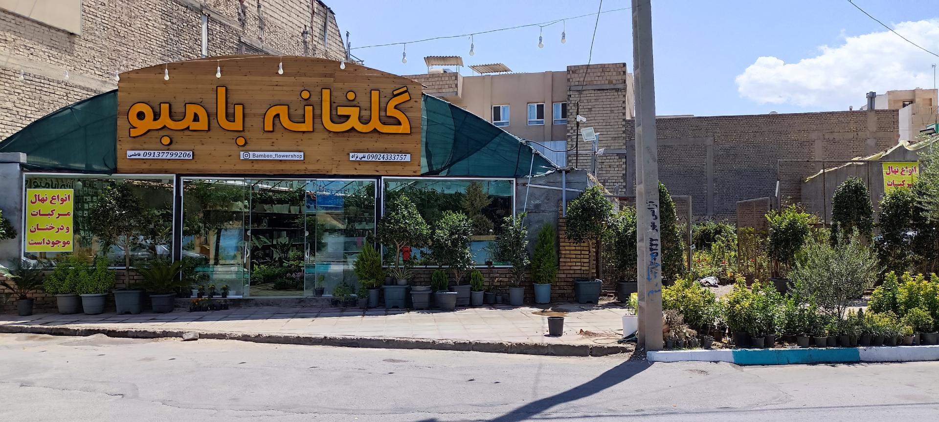 عکس گلخانه بامبو