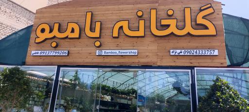 گلخانه بامبو