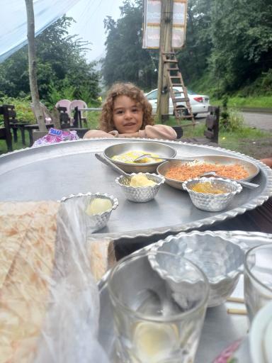 عکس مهمانپذیر  گل یاس