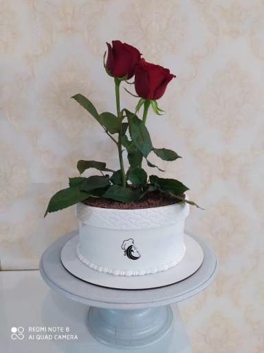 عکس کیک خانگی شاخه نبات