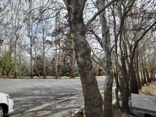 عکس پارک لویزان