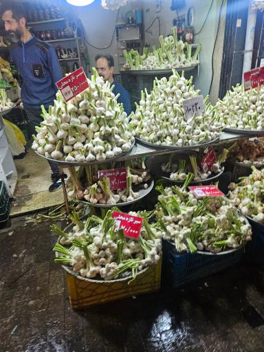 راسته ماهی فروشان