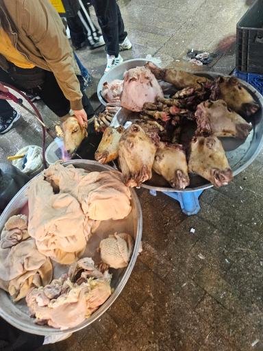 عکس راسته ماهی فروشان