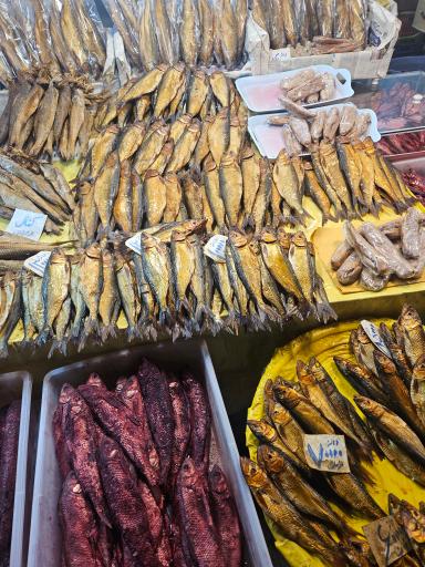 عکس راسته ماهی فروشان