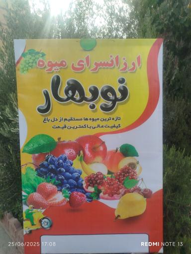 عکس ارزانسرای میوه نوبهار