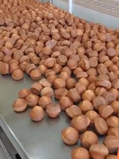 عکس کارخانه کیک و کلوچه دباغ 