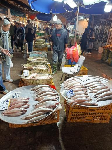 عکس راسته ماهی فروشان