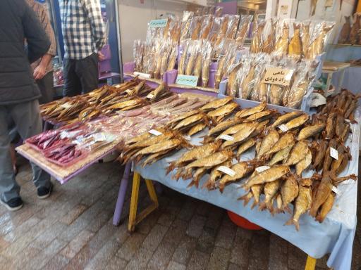 عکس راسته ماهی فروشان