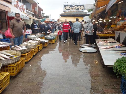 عکس راسته ماهی فروشان