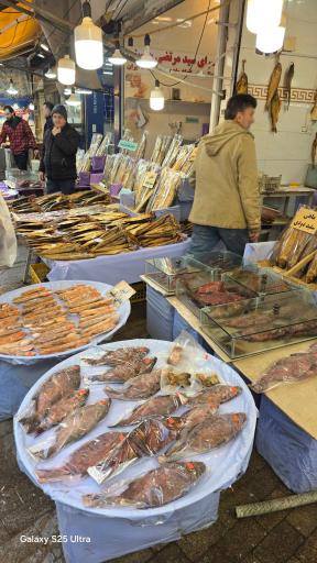 عکس راسته ماهی فروشان