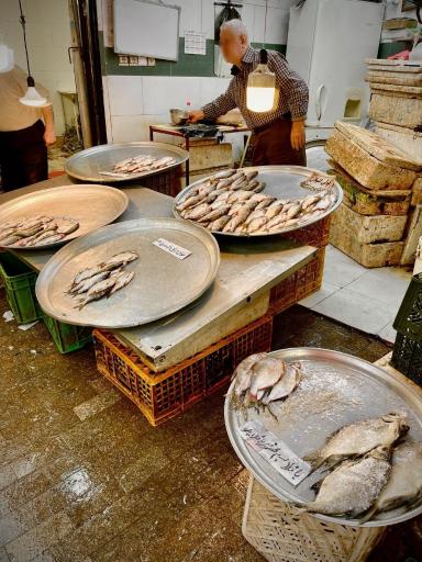 عکس راسته ماهی فروشان