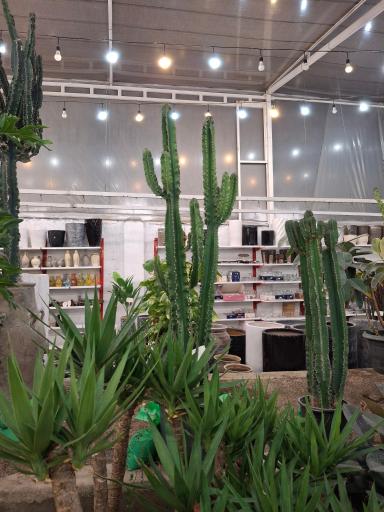 عکس گلسرای ابریشم