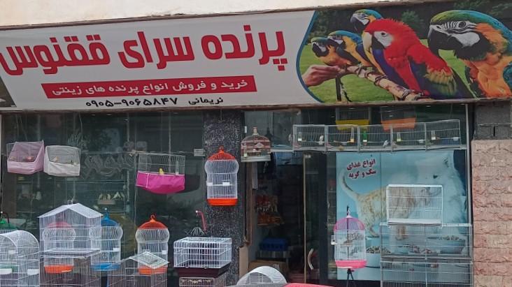 عکس پرنده فروشی ققنوس