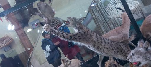 عکس موزه تاریخ طبیعی زنجان