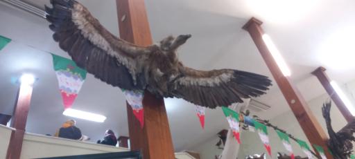 عکس موزه تاریخ طبیعی زنجان