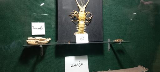 عکس موزه تاریخ طبیعی زنجان