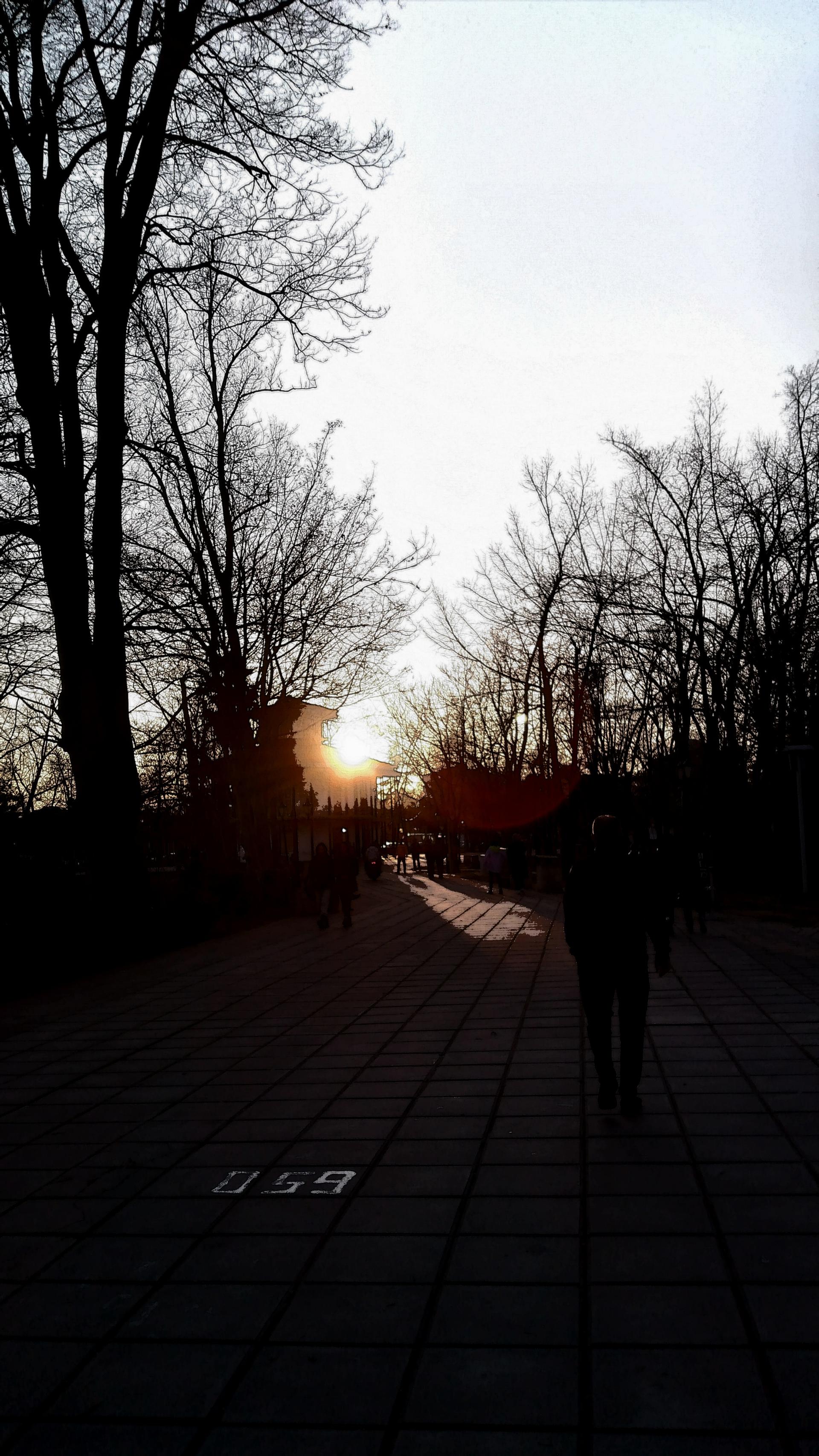 عکس بوستان باغ محتشم (پارک شهر)