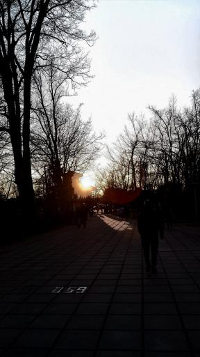 عکس بوستان باغ محتشم (پارک شهر)