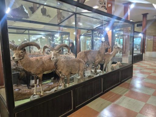 عکس موزه تاریخ طبیعی زنجان
