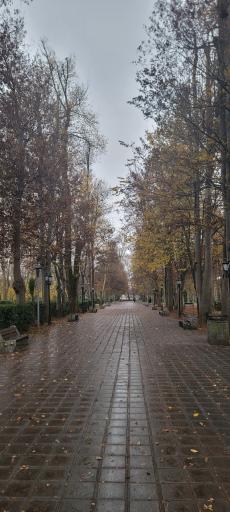 بوستان باغ محتشم (پارک شهر)