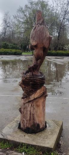 عکس بوستان باغ محتشم (پارک شهر)