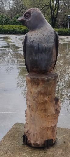 عکس بوستان باغ محتشم (پارک شهر)