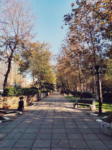 عکس بوستان باغ محتشم (پارک شهر)