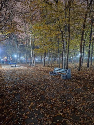 عکس بوستان باغ محتشم (پارک شهر)