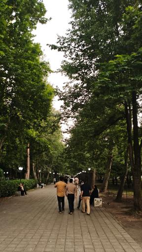 عکس بوستان باغ محتشم (پارک شهر)