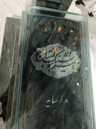 عکس پارک محتشم