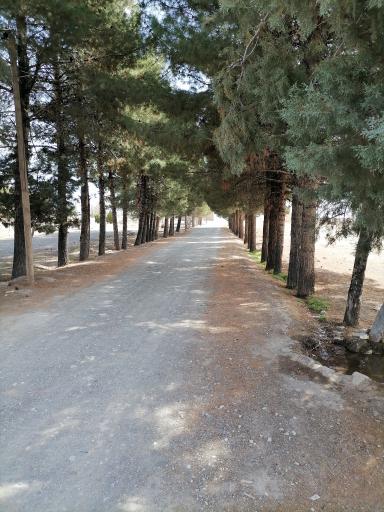 عکس قبرستان صدخرو