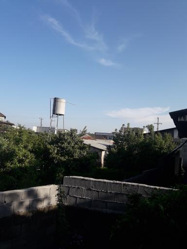 عکس موزی گله