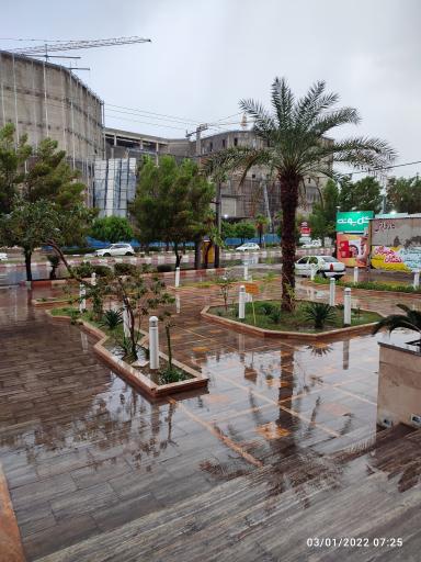 عکس سرپرستی بیمه ایران