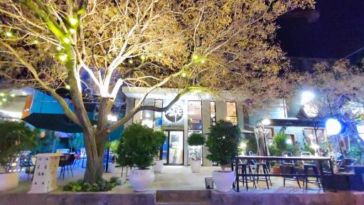 عکس کافه درخت