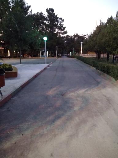 عکس پارک جنگلی گلپایگان