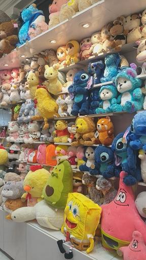 عکس گالری عروسک تبریز 