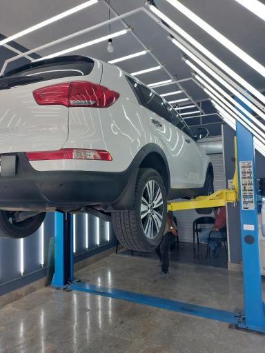 کارشناسی رنگ ملکی 