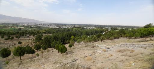 عکس پارک جنگلی گلپایگان