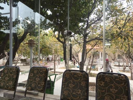 عکس تجیو