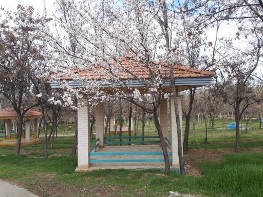 عکس پارک جنگلی گلپایگان