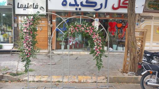 عکس سوپر گلفروشی ارکیده 