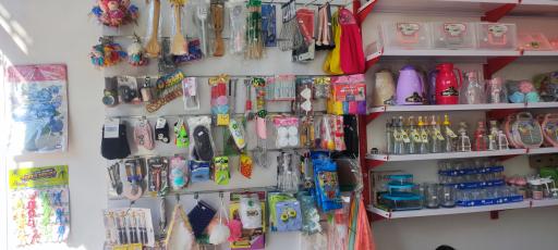 عکس نیکو پلاست