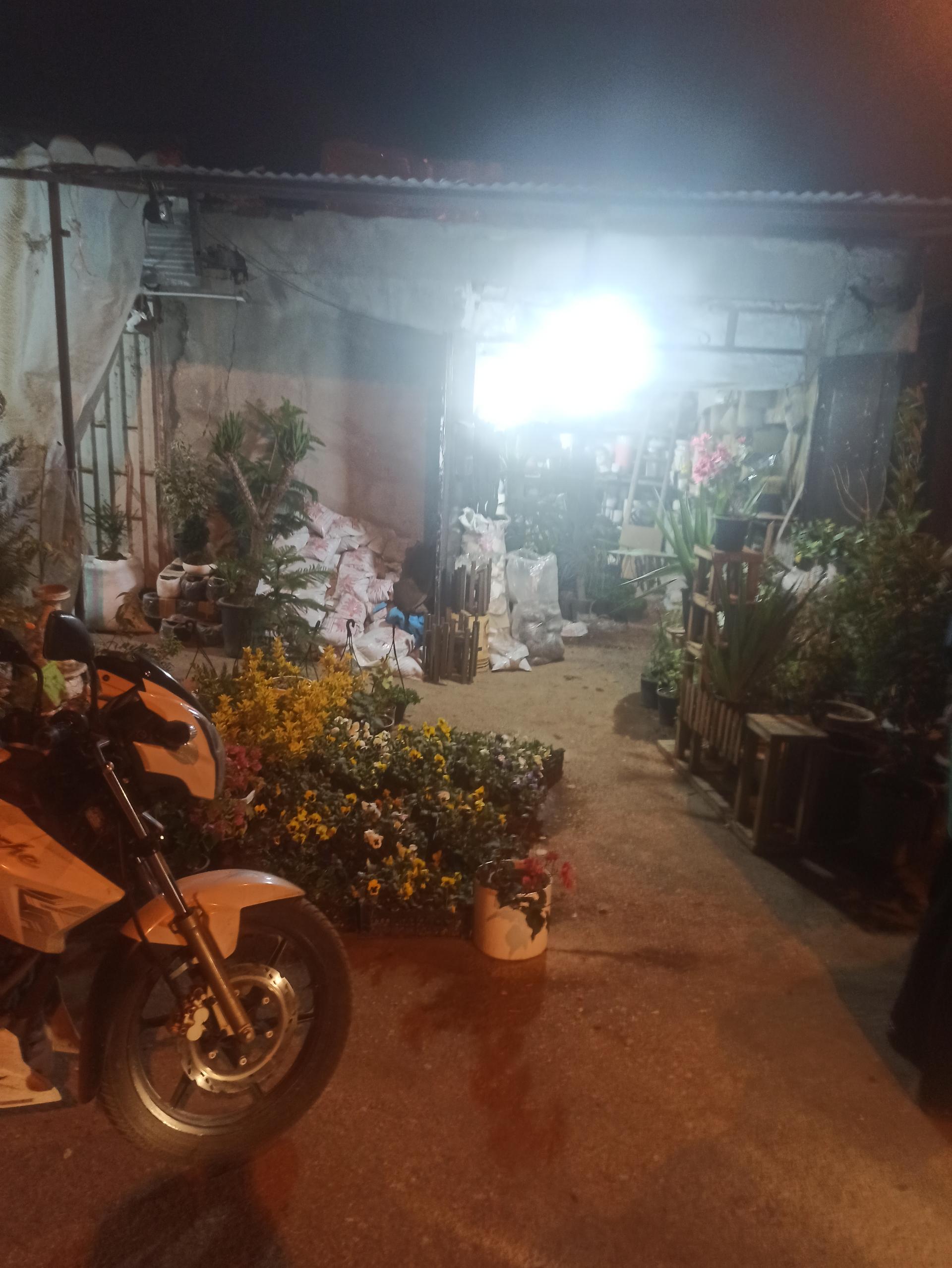 عکس گل فروشی صفایی