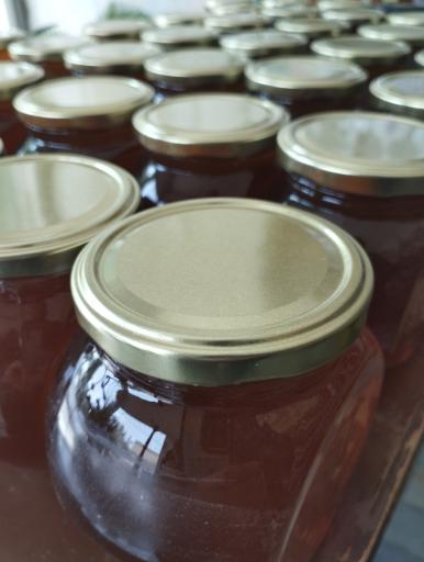 عکس زعفران مجتهدی