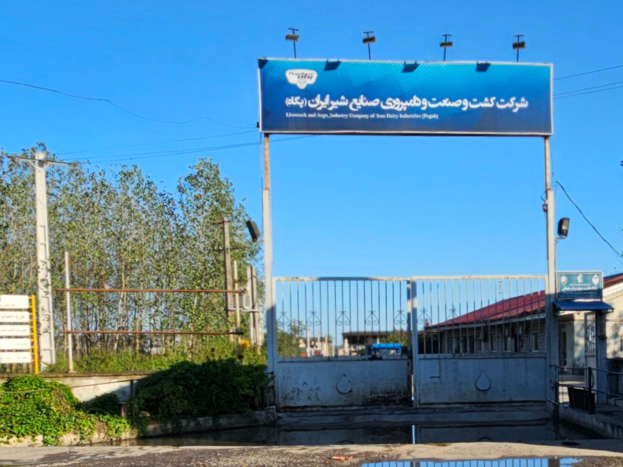 عکس شرکت پگاه 