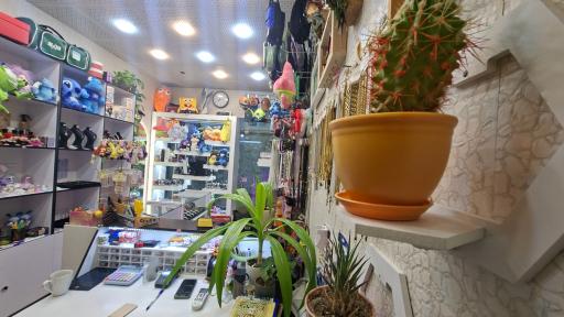 عکس ژوپیتر اکسسوری