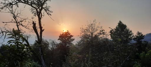 عکس بورخانی