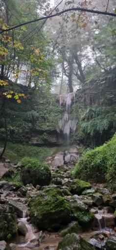 عکس بورخانی